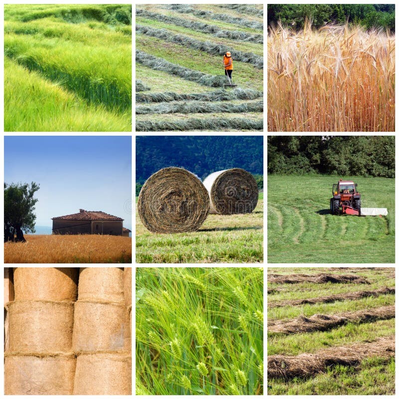 Agriculture industry