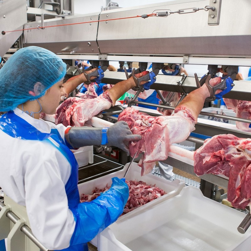 Food Processing industry